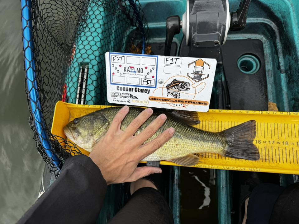 Double Up Series Identifiers image 4