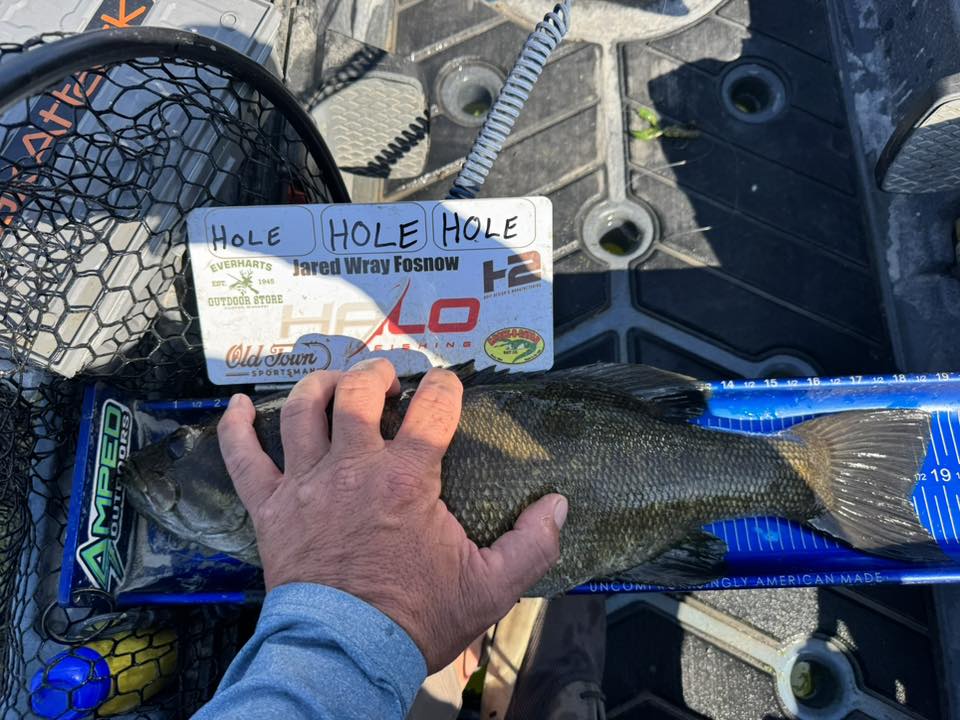 Double Up Series Identifiers image 9