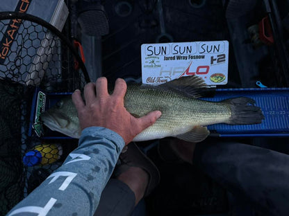 Double Up Series Identifiers image 12