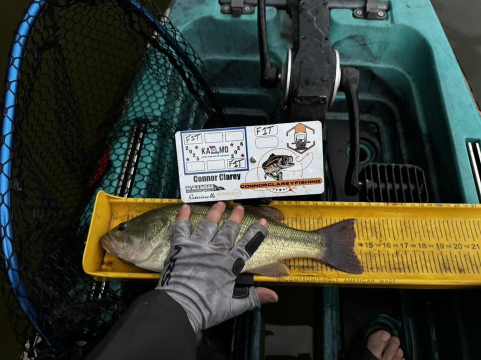 Double Up Series Identifiers image 10