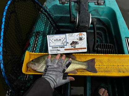 Double Up Series Identifiers image 10