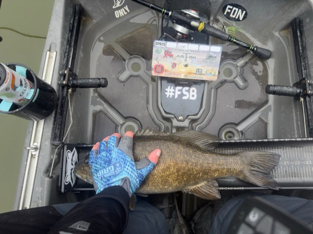 Ketch Cradle 2.0 image 4