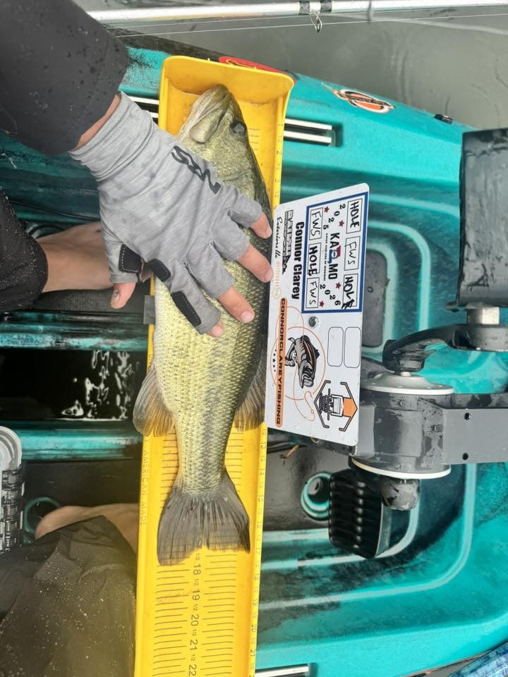 Double Up Series Identifiers image 2