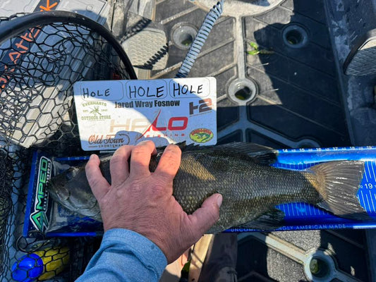 Double Up Series Identifiers image 0