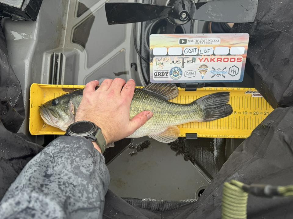 Double Up Series Identifiers image 6