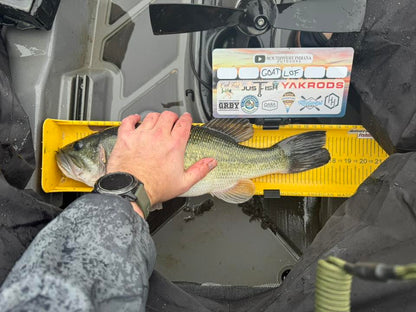 Double Up Series Identifiers image 6