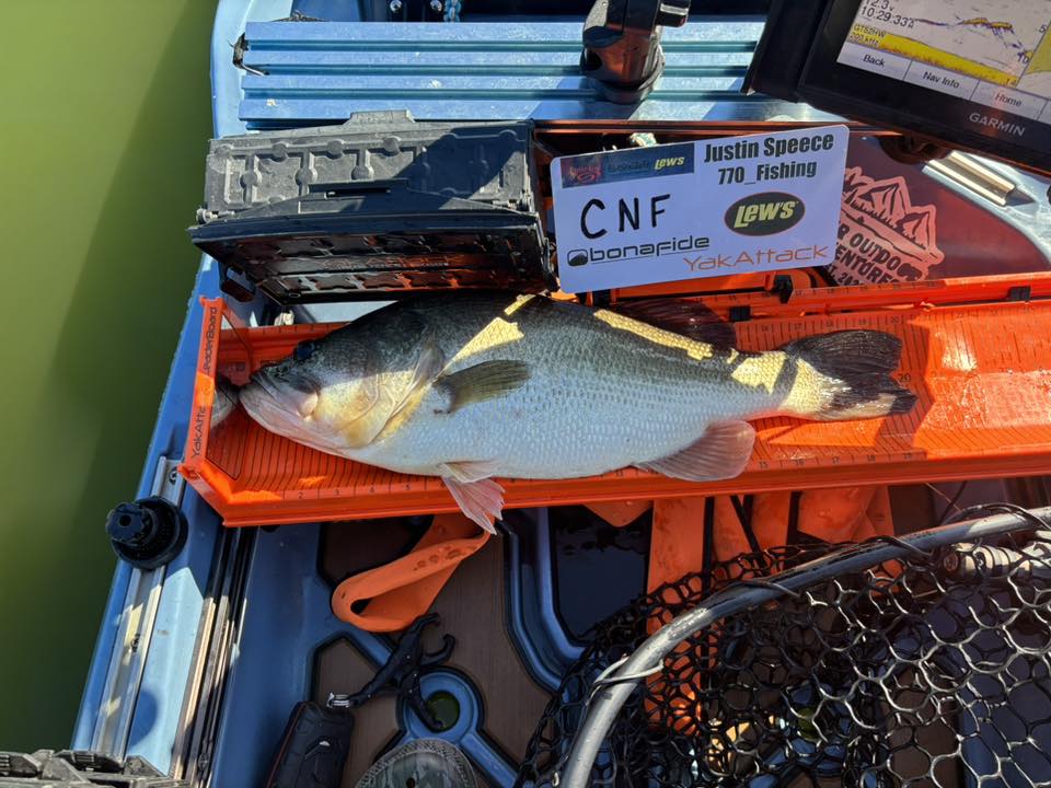 Double Up Series Identifiers image 1