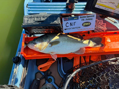 Double Up Series Identifiers image 1