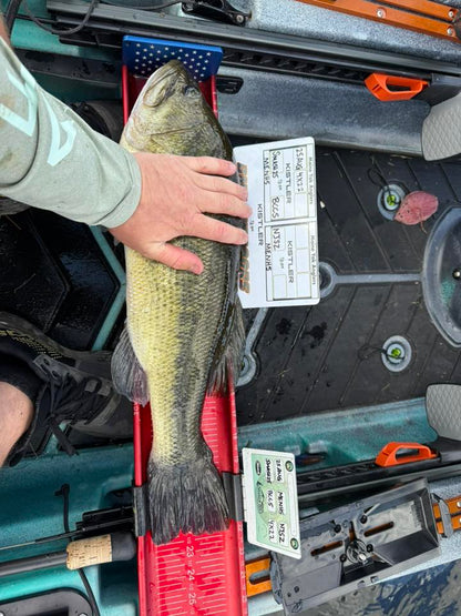 Double Up Series Identifiers image 8