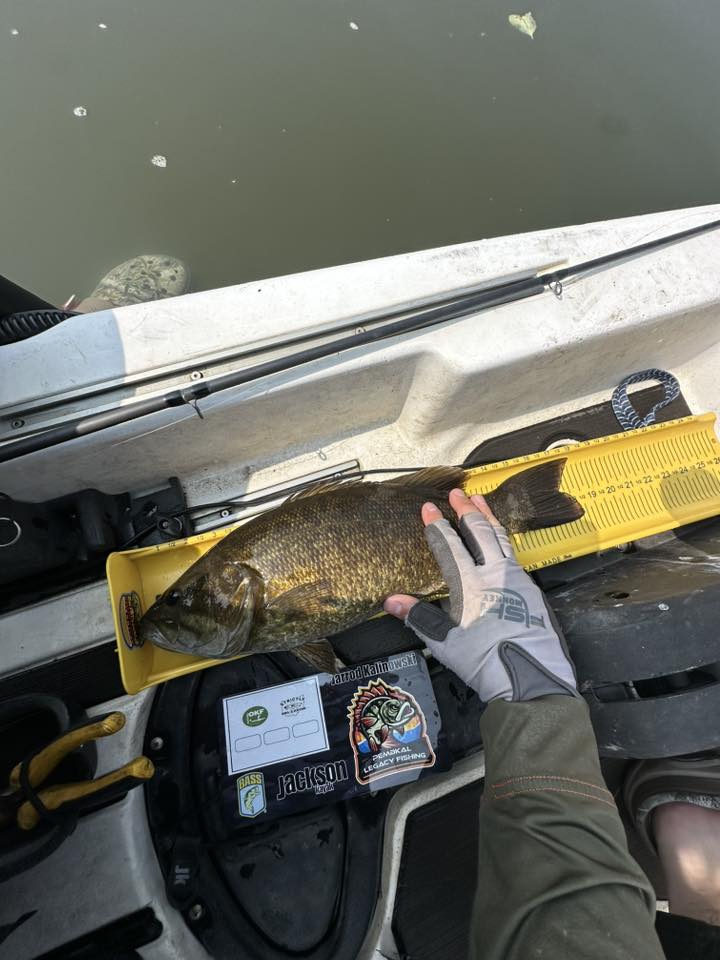 Double Up Series Identifiers image 11