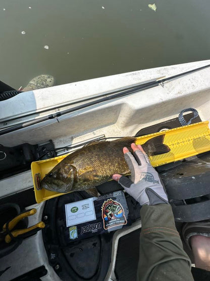 Double Up Series Identifiers image 11